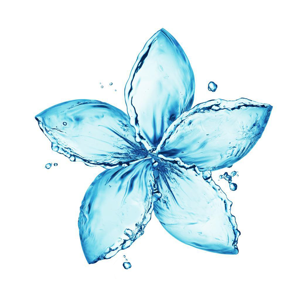 Fleur d'eau Loren Climent